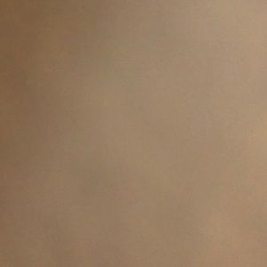 Meet your Posher, Aaraaryon